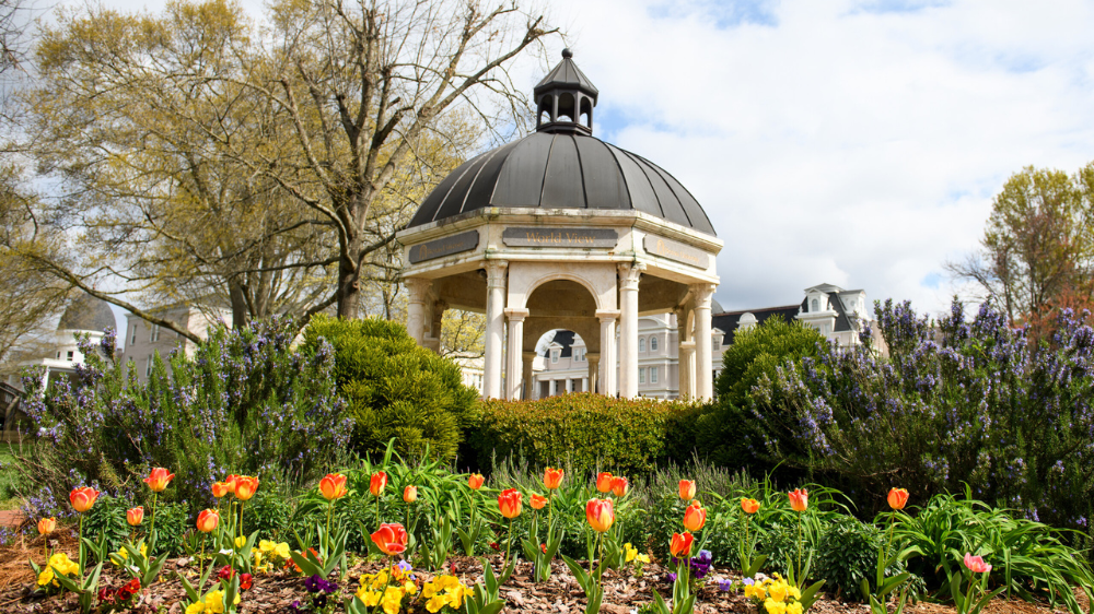 Campus shot of tower